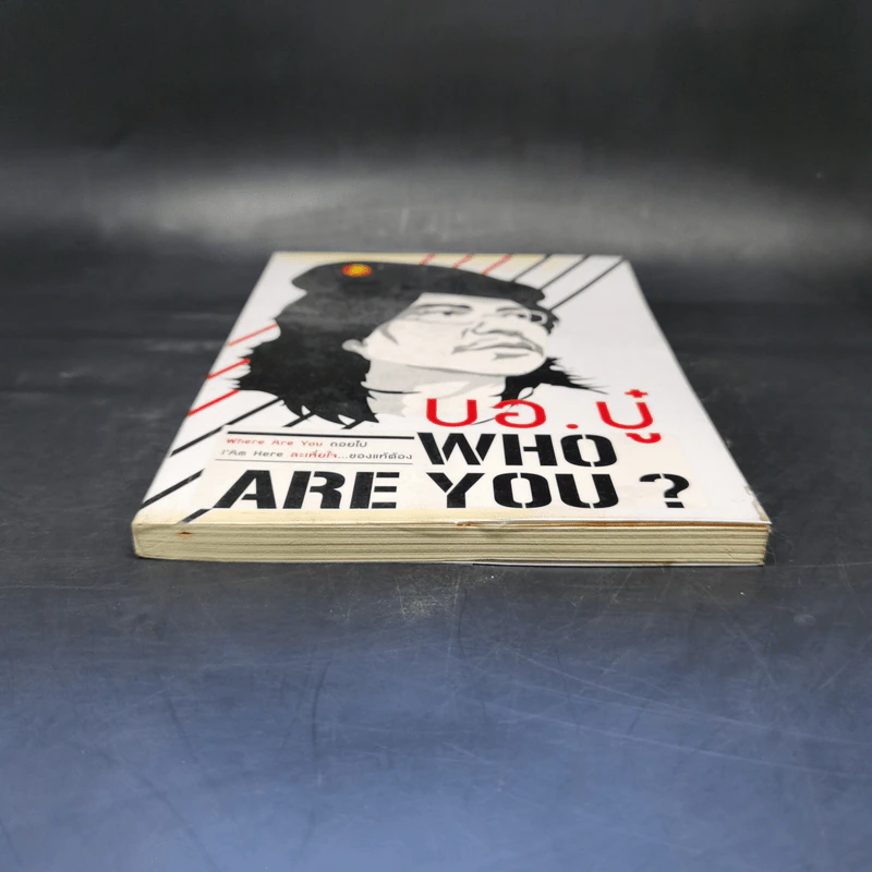 Who Are You? บอ.บู๋ รูปที่ 4