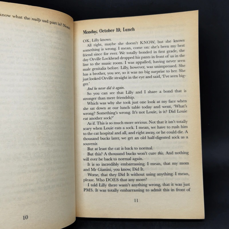 The Princess Diaries 4 Books รูปที่ 10