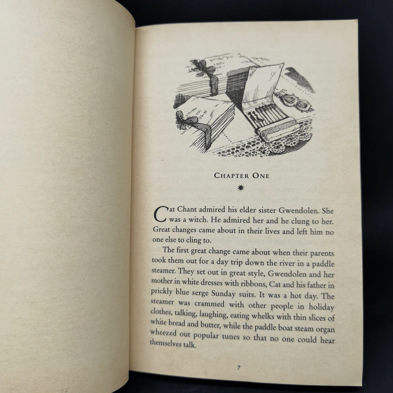 The Worlds of Chrestomanci 2 Books - Diana Wynne Jones รูปที่ 11