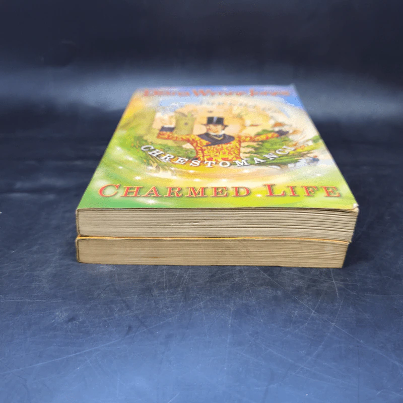 The Worlds of Chrestomanci 2 Books - Diana Wynne Jones รูปที่ 4
