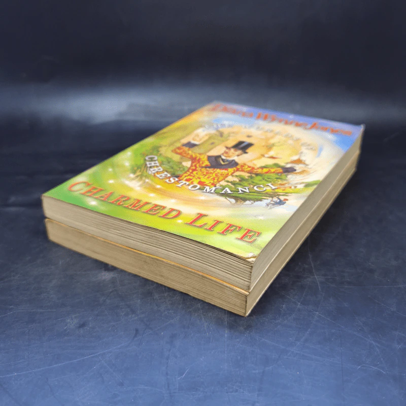 The Worlds of Chrestomanci 2 Books - Diana Wynne Jones รูปที่ 7