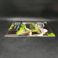 Hydroponic ปลูกผักด้วยน้ำแบบง่าย - โยชิกาว่า ยาสุมาสะ รูปที่ 5