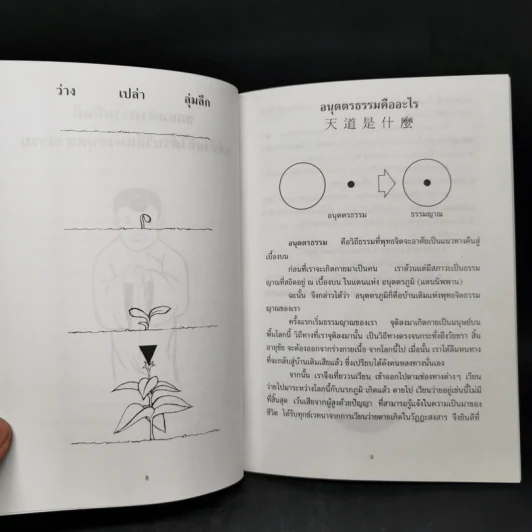 ซัน เป่า - ตรัย รัตน์ รูปที่ 9