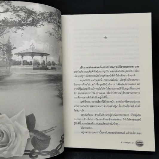 สาวหลงยุค - พงศกร รูปที่ 9
