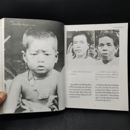 ภาพชีวิต 80 ปี พุทธทาสภิกขุ รูปที่ 13