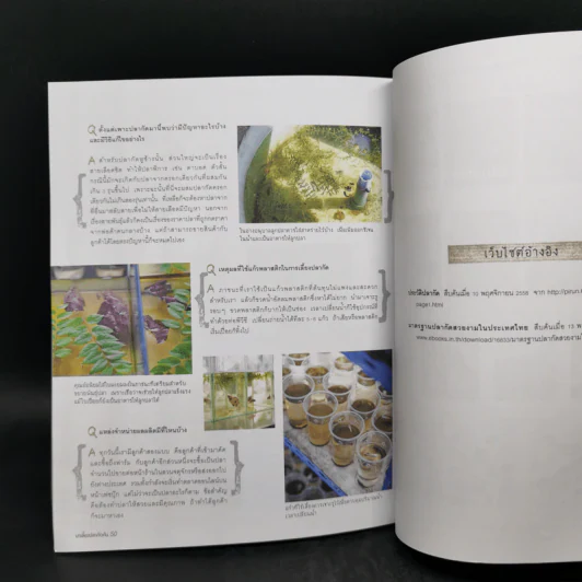 My Little Farm VOL.4 มาเลี้ยงปลากัดกัน - ภวพล ศุภนันทนานนท์ รูปที่ 11