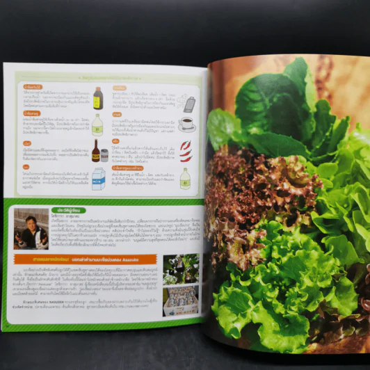 Hydroponic ปลูกผักด้วยน้ำแบบง่าย - โยชิกาว่า ยาสุมาสะ รูปที่ 12