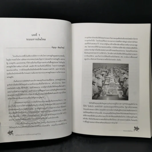กลไกของตลาดการเงินในระบบเศรษฐกิจไทย - อัญญา ขันธวิทย์ รูปที่ 13