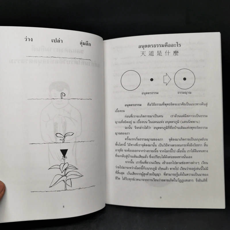 ซัน เป่า - ตรัย รัตน์ รูปที่ 9
