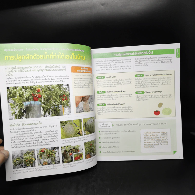 Hydroponic ปลูกผักด้วยน้ำแบบง่าย - โยชิกาว่า ยาสุมาสะ รูปที่ 10