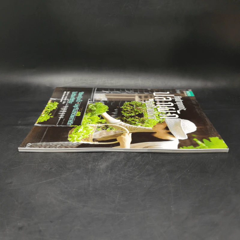Hydroponic ปลูกผักด้วยน้ำแบบง่าย - โยชิกาว่า ยาสุมาสะ รูปที่ 5
