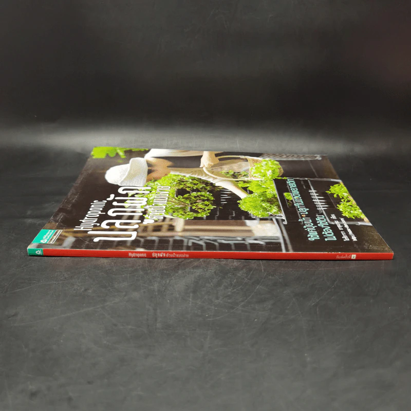 Hydroponic ปลูกผักด้วยน้ำแบบง่าย - โยชิกาว่า ยาสุมาสะ รูปที่ 3