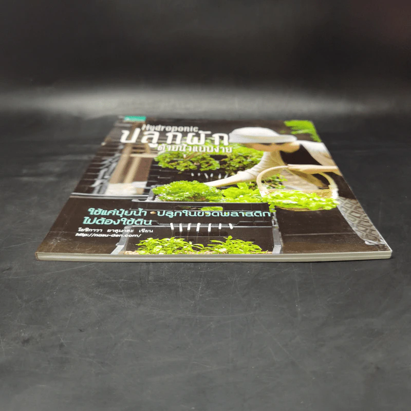 Hydroponic ปลูกผักด้วยน้ำแบบง่าย - โยชิกาว่า ยาสุมาสะ รูปที่ 4