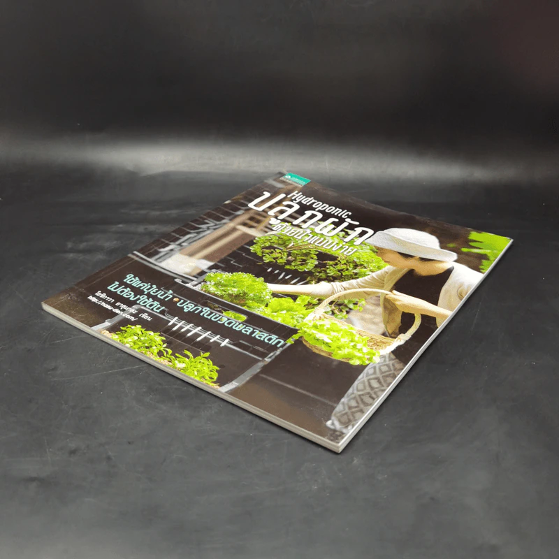 Hydroponic ปลูกผักด้วยน้ำแบบง่าย - โยชิกาว่า ยาสุมาสะ รูปที่ 7