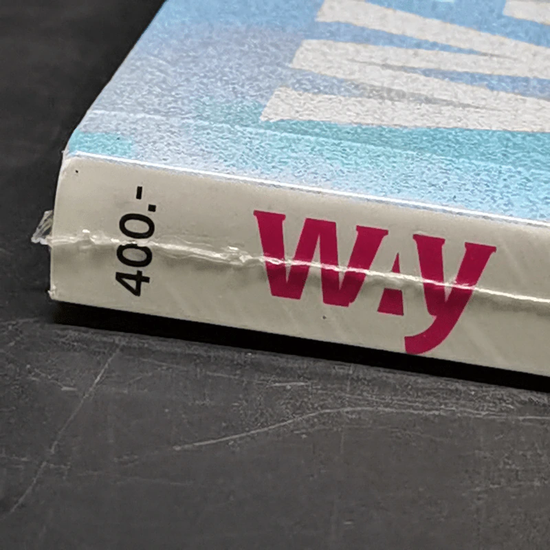 WAY 91 New Country for Young Gen รูปที่ 10