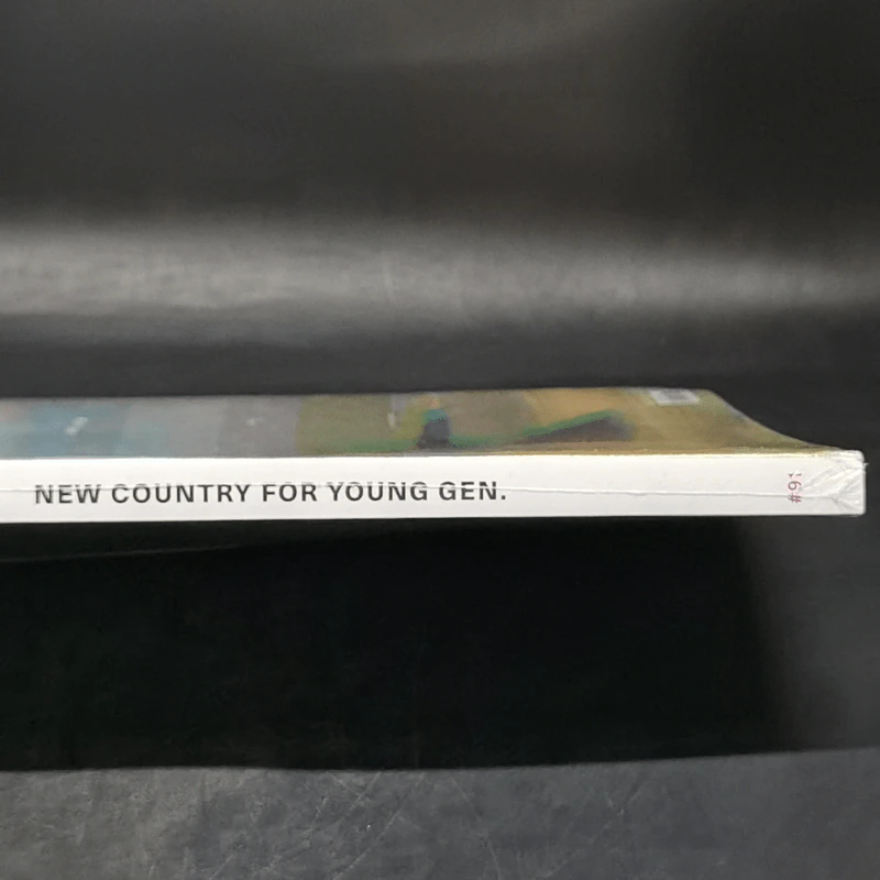 WAY 91 New Country for Young Gen รูปที่ 9