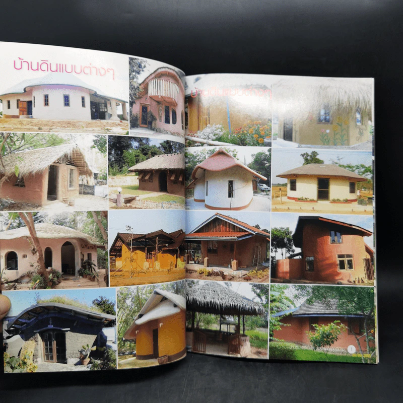 บ้านดิน วิธีง่ายๆของคนอยากมีบ้าน โจน จันได - สุรัช สะราคำ - แดเนียล ดี ชีราล รูปที่ 8
