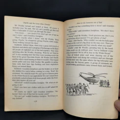 Charlie and the Great Glass Elevator - Roald Dahl รูปที่ 11