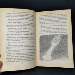 Charlie and the Great Glass Elevator - Roald Dahl รูปที่ 10