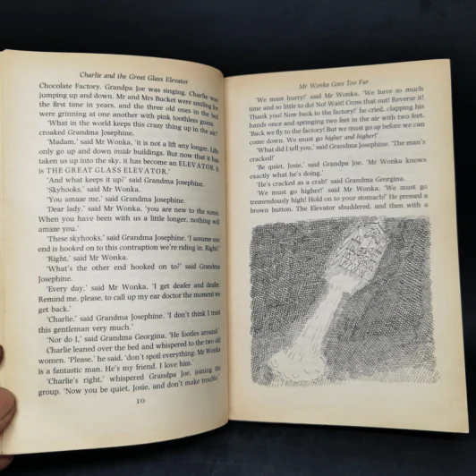 Charlie and the Great Glass Elevator - Roald Dahl รูปที่ 10