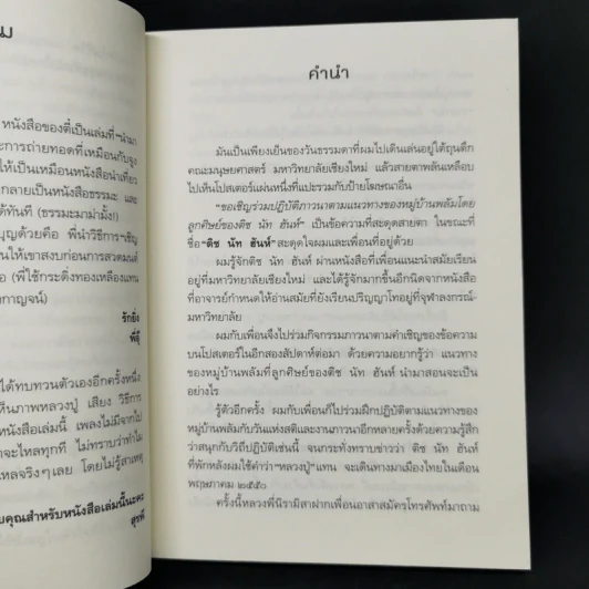 ห้าวันที่ฉันตื่นกับติช นัท ฮันห์ - สหรัฐ เจตมโนรมย์ รูปที่ 9