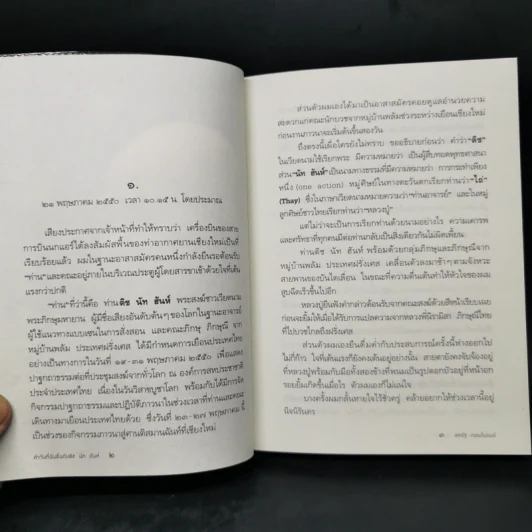 ห้าวันที่ฉันตื่นกับติช นัท ฮันห์ - สหรัฐ เจตมโนรมย์ รูปที่ 11