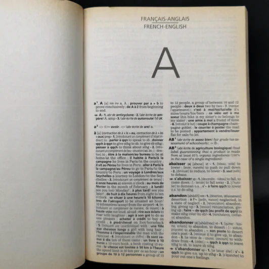 French-English Anglais-Francais Dictionnaire Compact รูปที่ 10