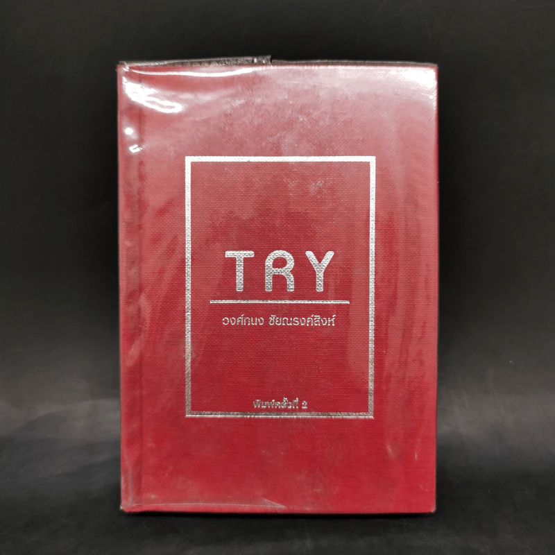 Try - วงศ์ทนง ชัยณรงค์สิงห์ รูปที่ 1