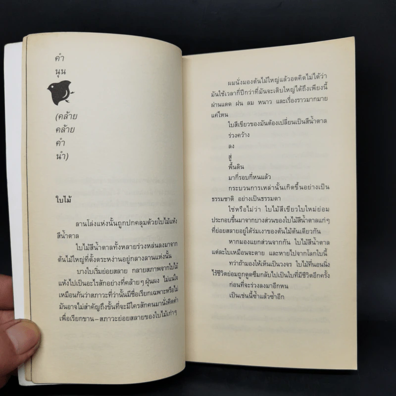 สิ่งที่ค้นพบระหว่างนั่งเฉยเฉย - นิ้วกลม รูปที่ 10