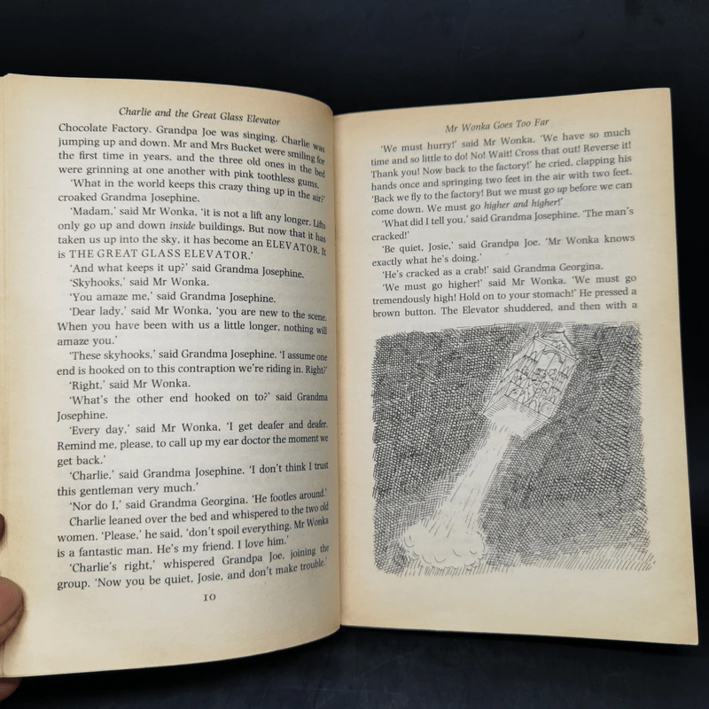 Charlie and the Great Glass Elevator - Roald Dahl รูปที่ 10