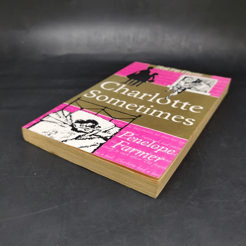 Charlotte Sometimes - Penelope Farmer รูปที่ 7