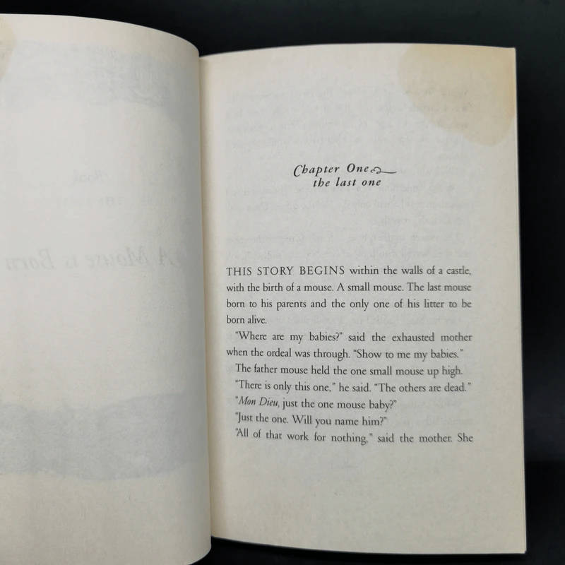 The Tale of Despereaux - Kate DiCamillo รูปที่ 8