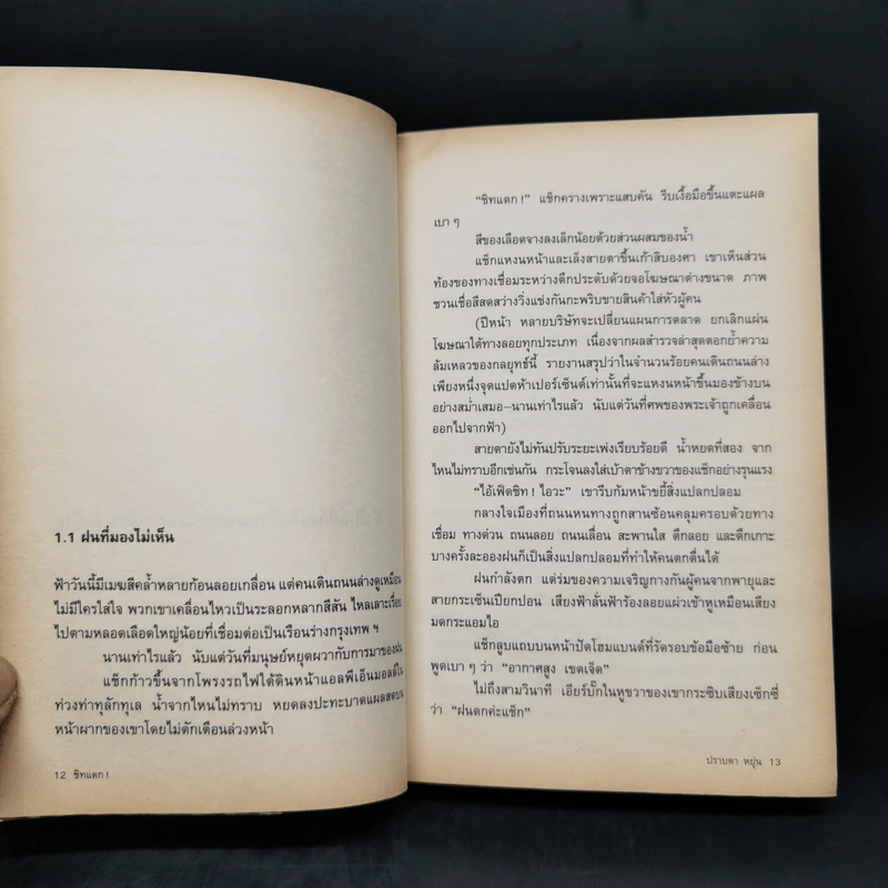 ชิทแตก - ปราบดา หยุ่น รูปที่ 10