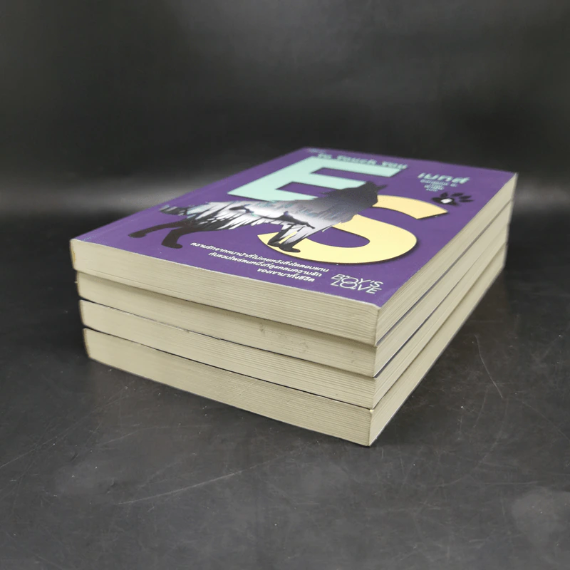 นิยายวาย เมทส์ เล่ม 1-4 - Cardeno C. รูปที่ 6