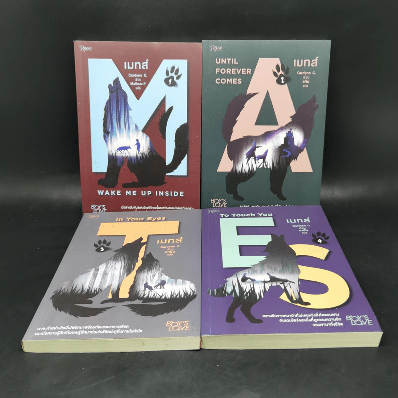 นิยายวาย เมทส์ เล่ม 1-4 - Cardeno C. รูปที่ 1