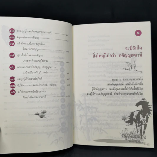 ปรัชญาขงจื้อ กตัญญูธรรมคู่ฟ้าดิน - จงเฉิง รูปที่ 10