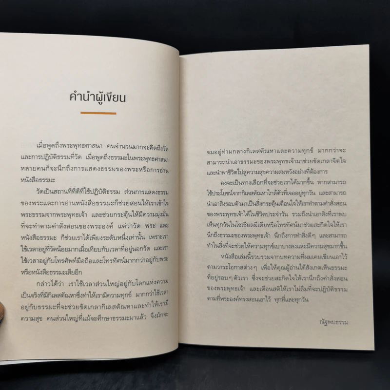 แน่ใจหรือว่าคือวิถีพุทธ - ณัฐพบธรรม รูปที่ 10