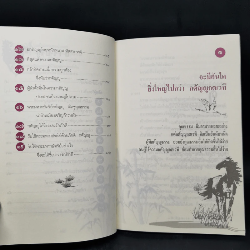 ปรัชญาขงจื้อ กตัญญูธรรมคู่ฟ้าดิน - จงเฉิง รูปที่ 10