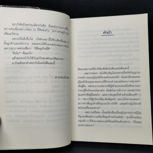 ริเน็น สร้างธุรกิจ 100 ปี ด้วยหลักคิดแบบญี่ปุ่น - ดร.กฤตินี พงษ์ธนเลิศ รูปที่ 11