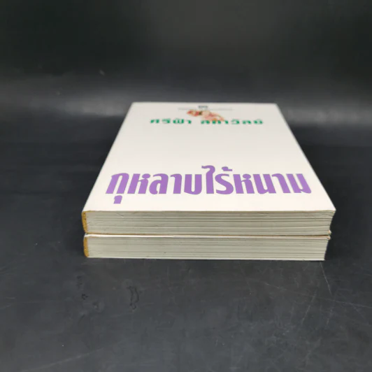 กุหลาบไร้หนาม 2 เล่มจบ - ศรีฟ้า ลดาวัลย์ รูปที่ 4