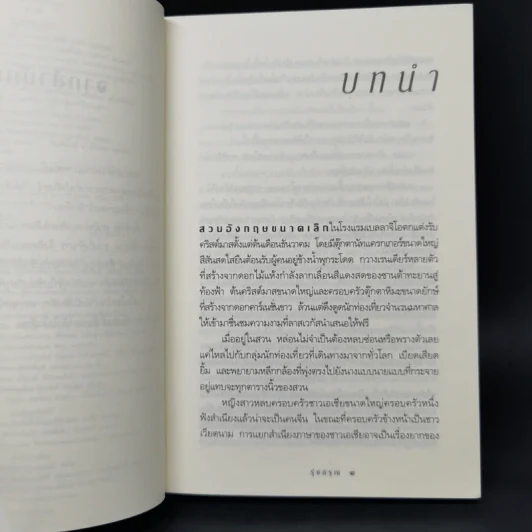 รุ่งอรุณ - กิ่งฉัตร รูปที่ 9