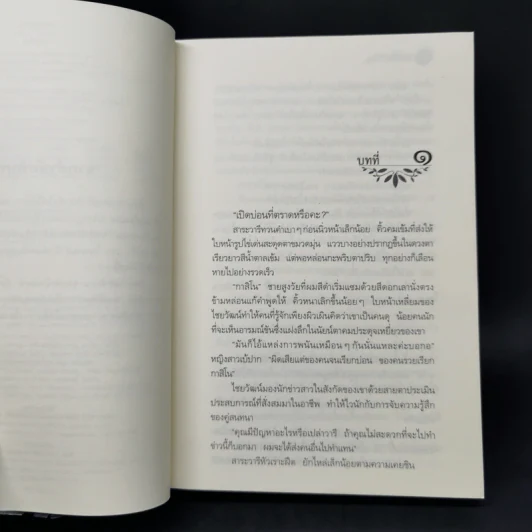 มนต์จันทรา - กิ่งฉัตร รูปที่ 9