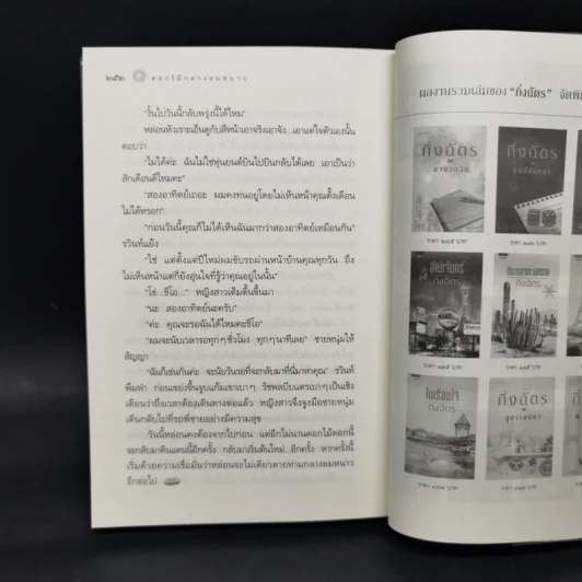 หิมะกลางทะเลทราย - กิ่งฉัตร รูปที่ 10