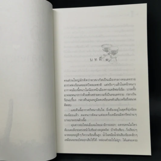 หิมะกลางทะเลทราย - กิ่งฉัตร รูปที่ 9