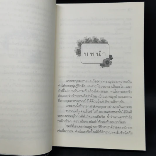 แผนร้ายเกี่ยวรัก - กิ่งฉัตร รูปที่ 10