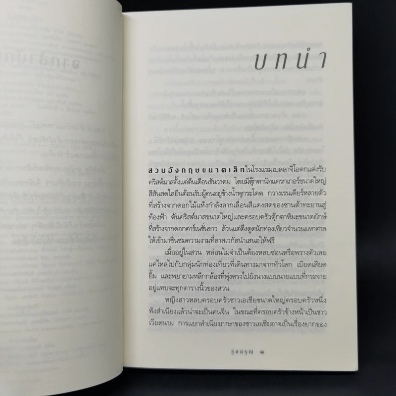 รุ่งอรุณ - กิ่งฉัตร รูปที่ 9