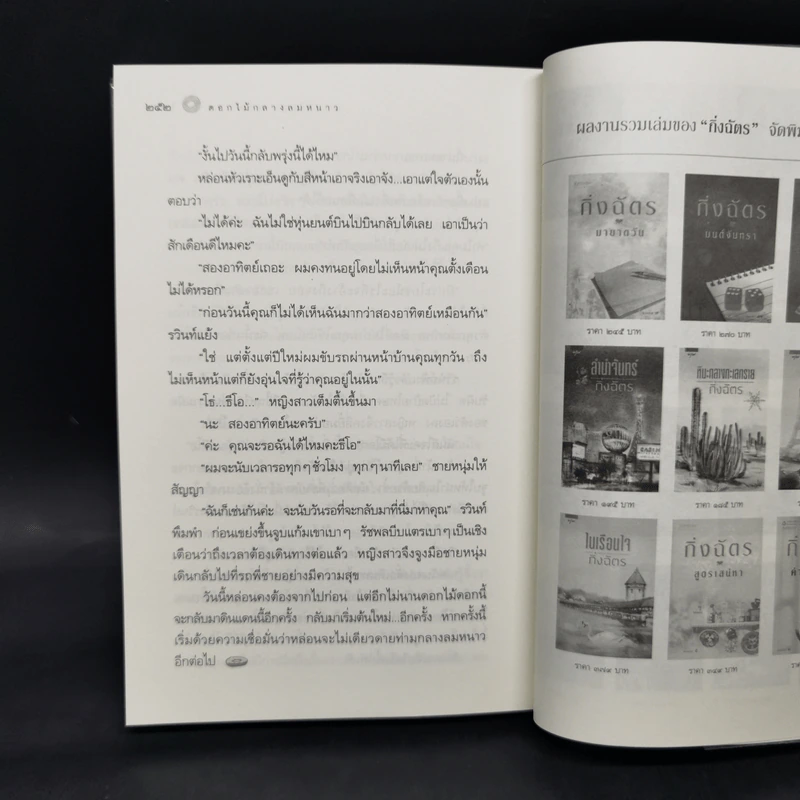หิมะกลางทะเลทราย - กิ่งฉัตร รูปที่ 10
