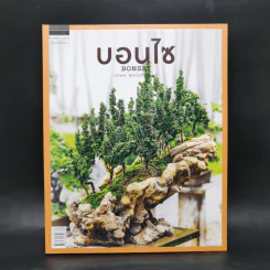 บอนไซ Bonsai - ภวพล ศุภนันทนานนท์ รูปที่ 1