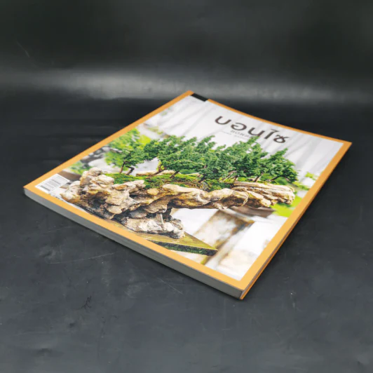 บอนไซ Bonsai - ภวพล ศุภนันทนานนท์ รูปที่ 7