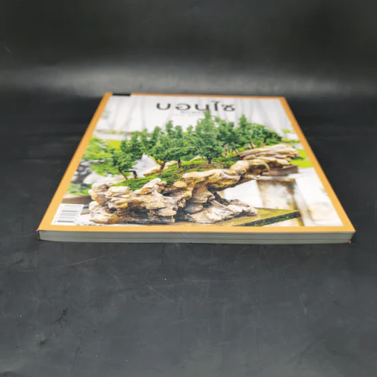 บอนไซ Bonsai - ภวพล ศุภนันทนานนท์ รูปที่ 4